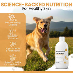 Chew + Heal Labs huile versée à la cuillère facile à ajouter à la nourriture