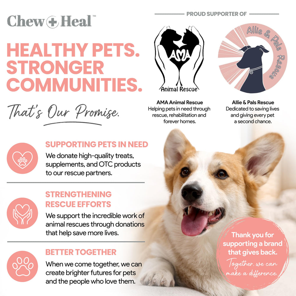 Chew + Heal Labs bouteille posée dans cuisine, usage quotidien pratique