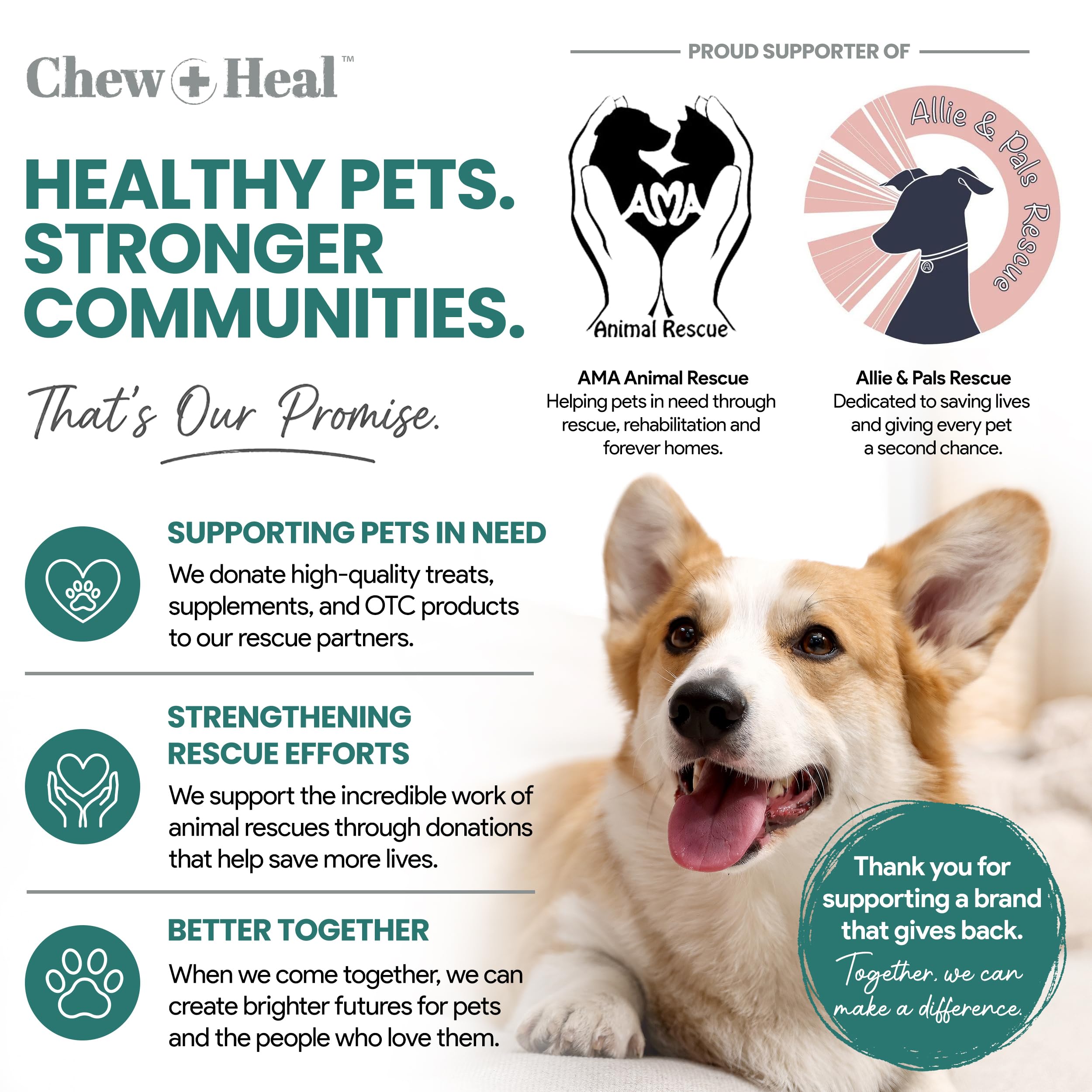 Scène quotidienne Chew + Heal Labs intégré à routine pour chien actif