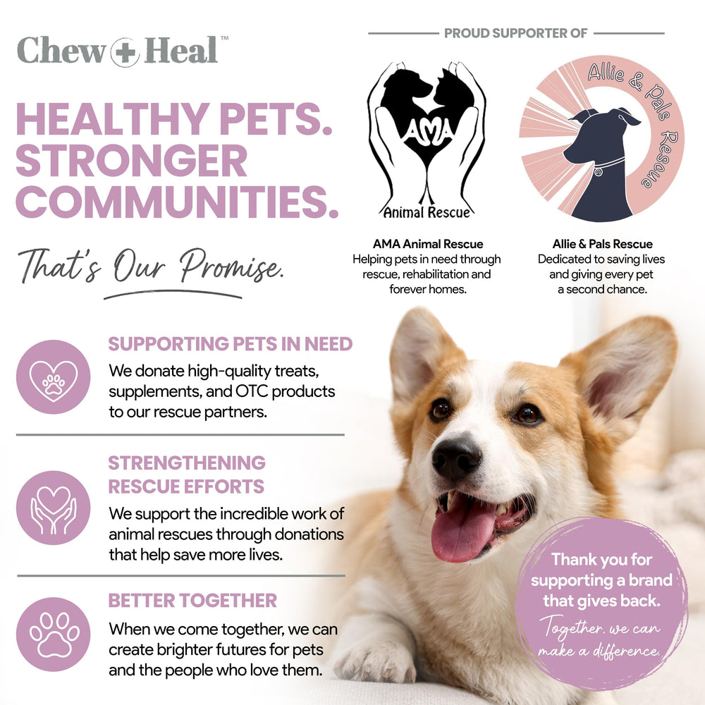 Chew + Heal Labs mise en situation chien recevant nettoyage pour confort auriculaire