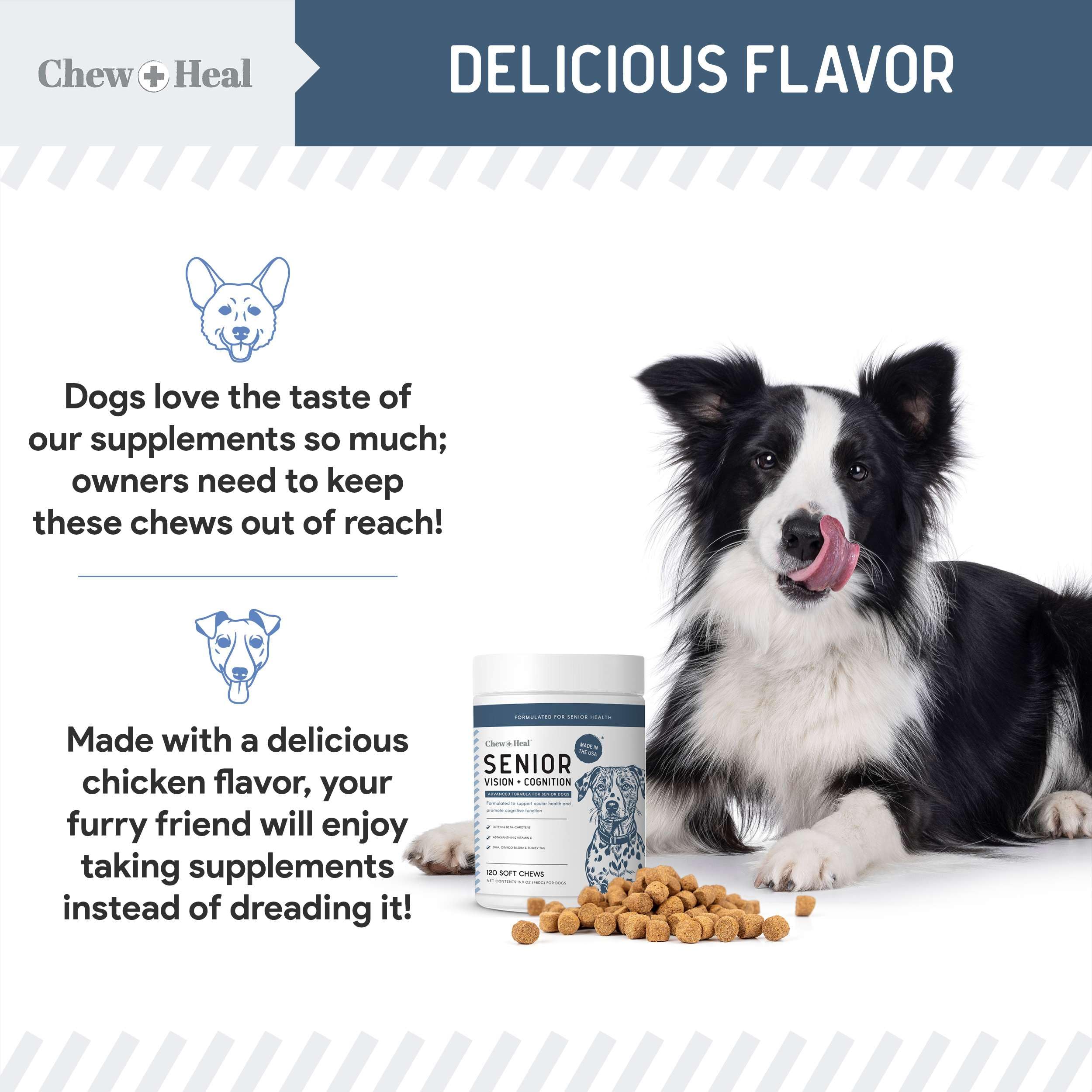 Chew + Heal Labs chien senior en plein air vigilant, cognition soutenue