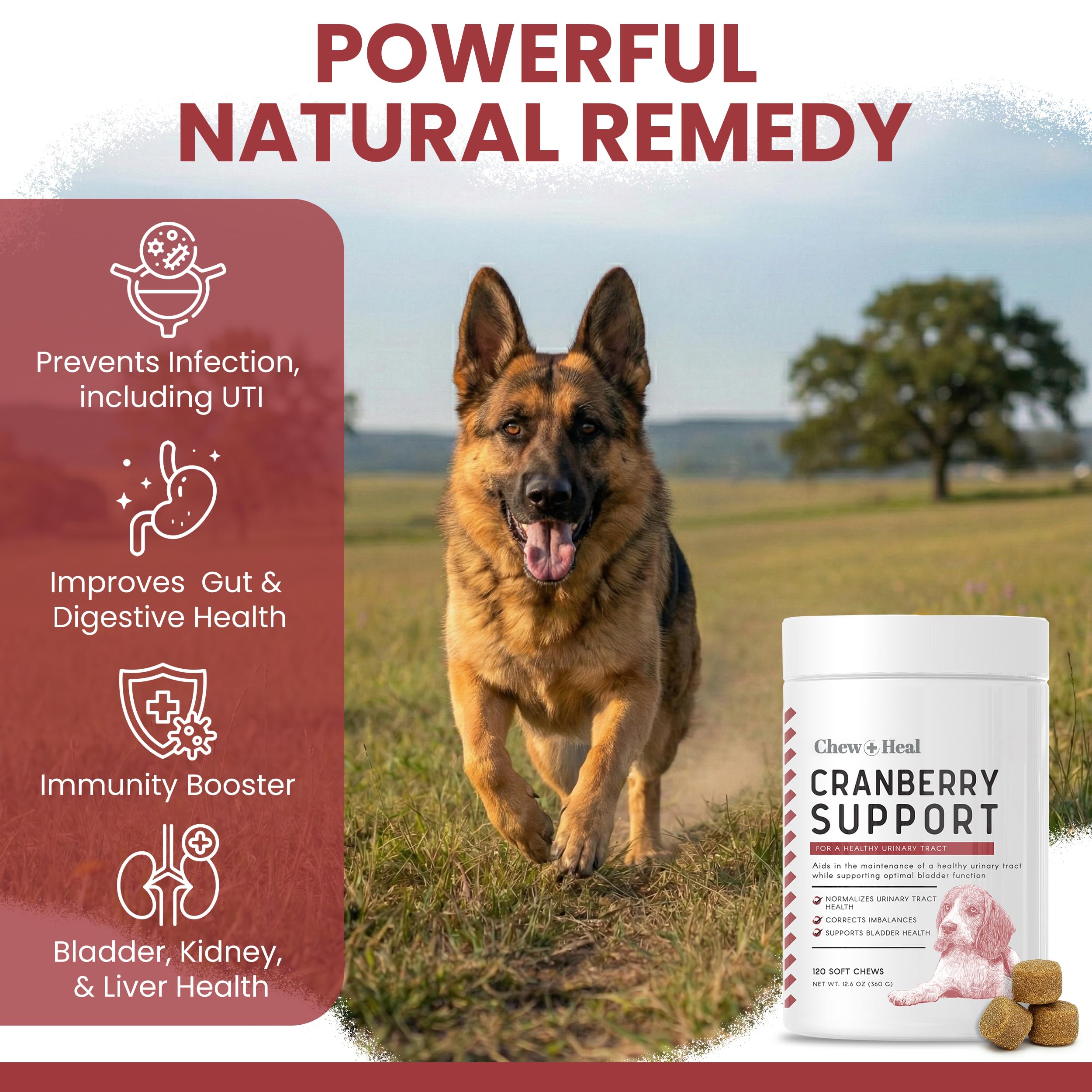 Chew + Heal Labs paquet ouvert montrant mastics appétents saveur poulet