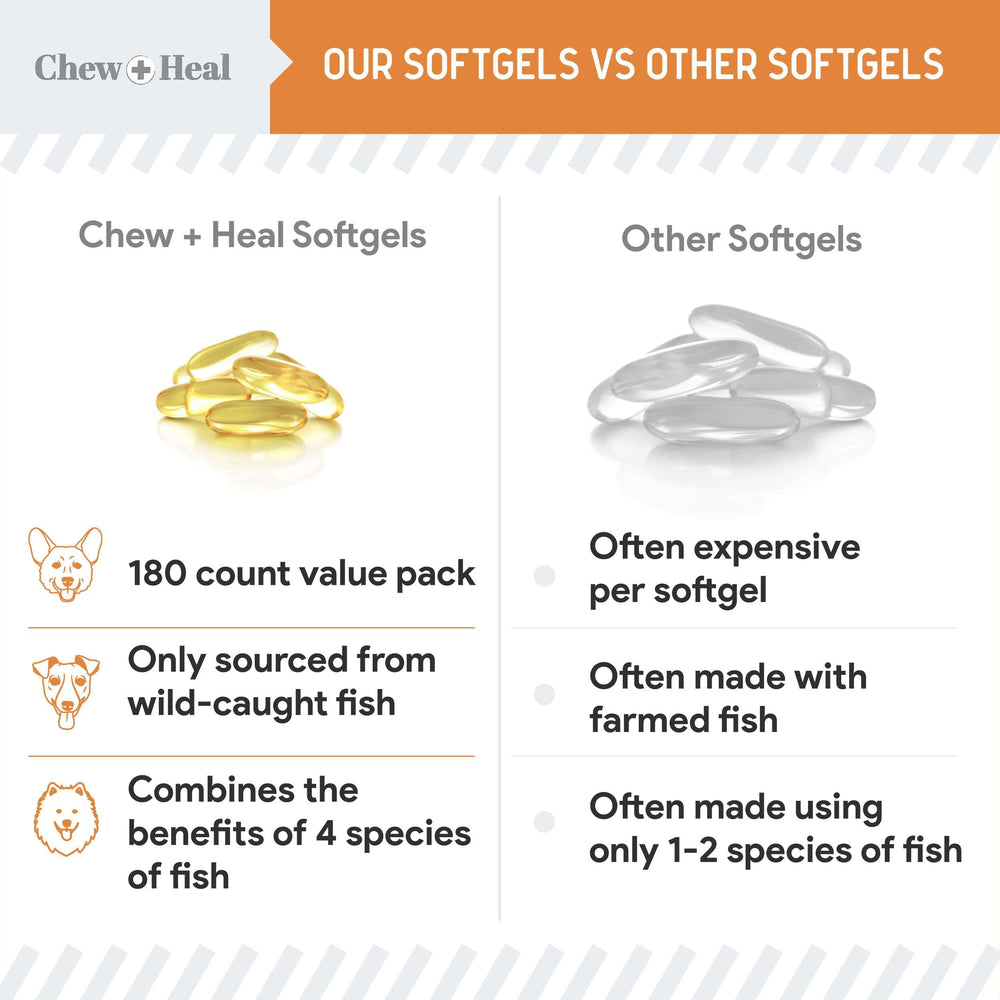 Chew + Heal Labs pelage de chien brillant illustrant amélioration visuelle du poil