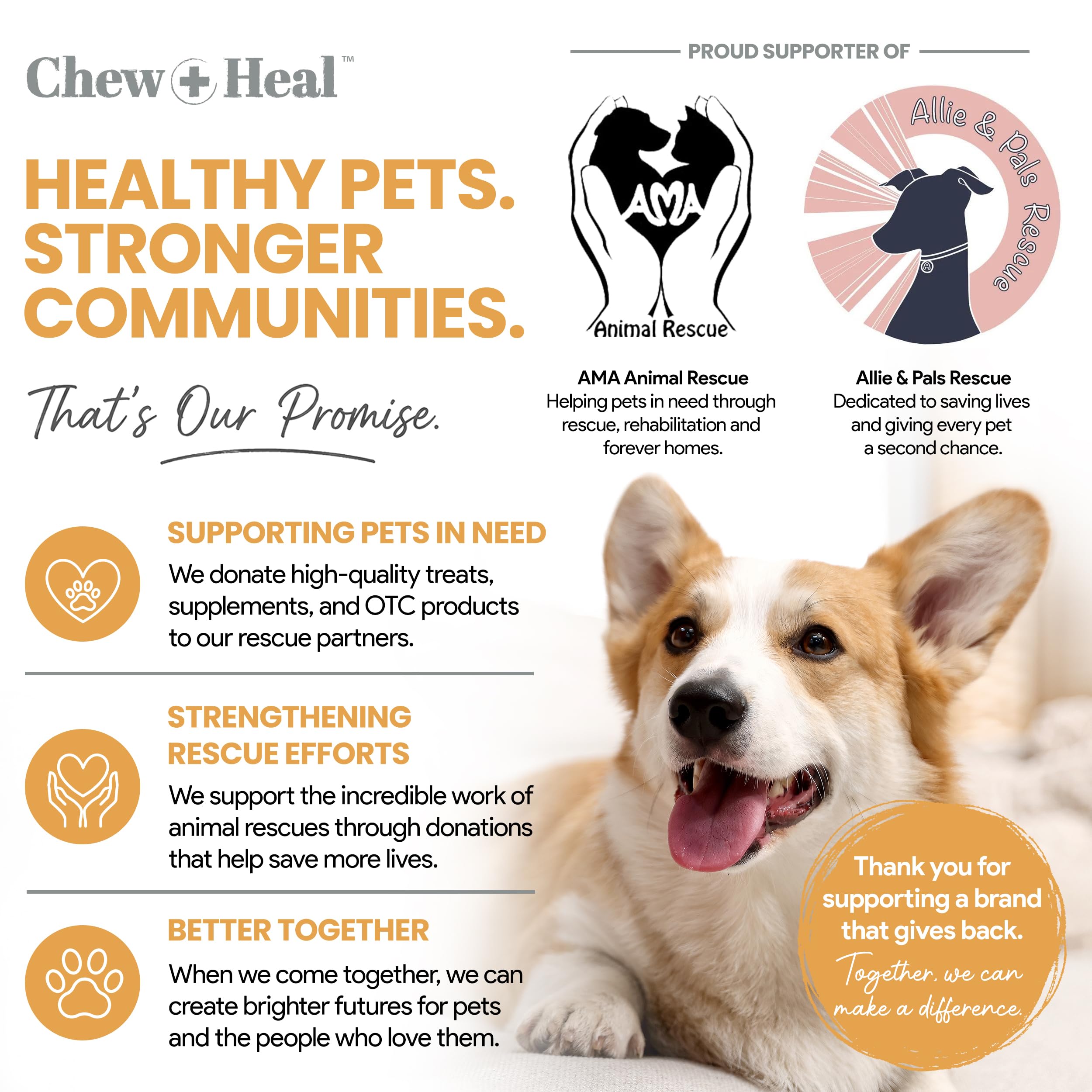 Chew + Heal Labs chien au pelage brillant après supplémentation