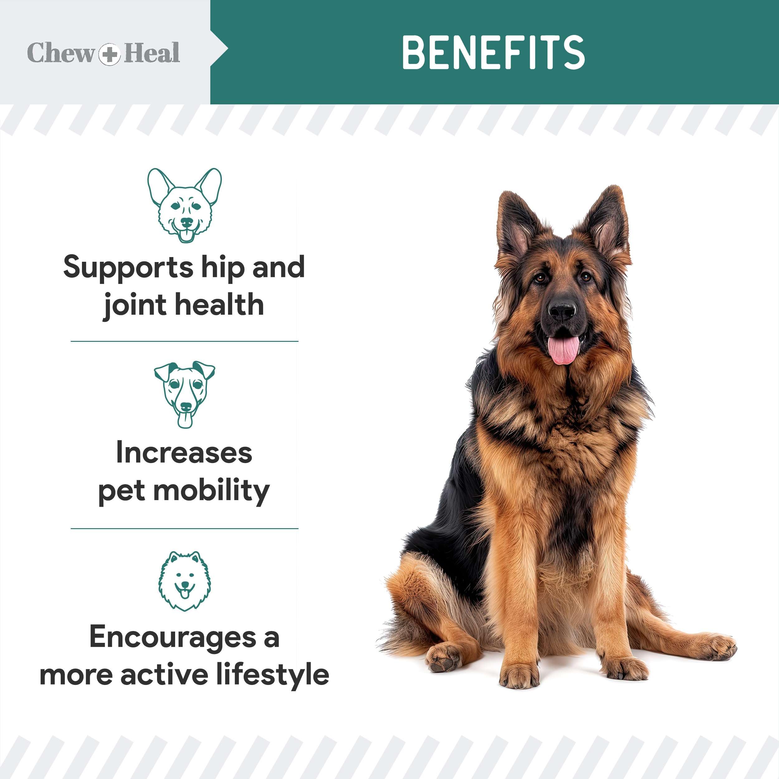 Chew + Heal Labs dos du pot avec informations nutritionnelles et mode d'emploi