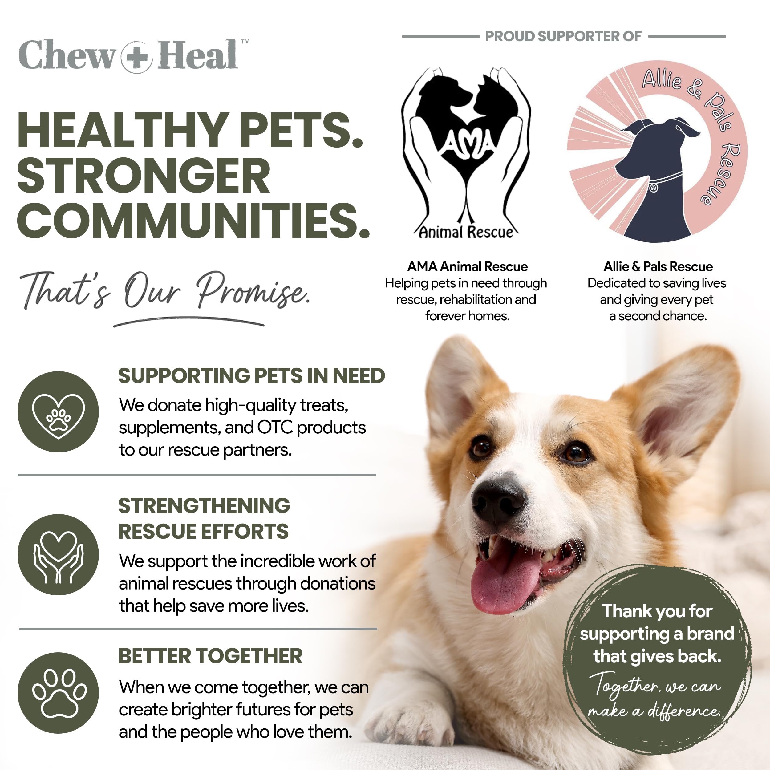 Chew + Heal Labs scène de vie en cuisine montrant administration quotidienne facile