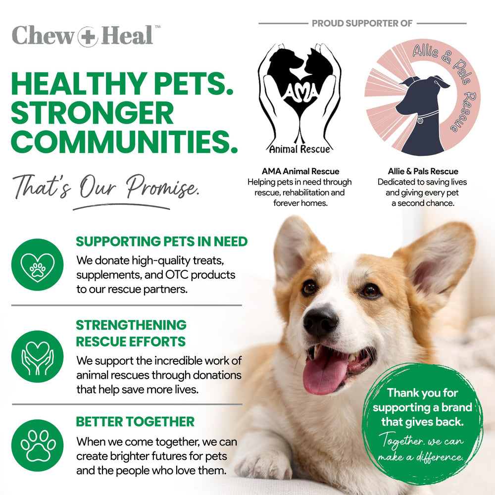 Chew + Heal Labs chien dans jardin vert, réduit taches et améliore odeur