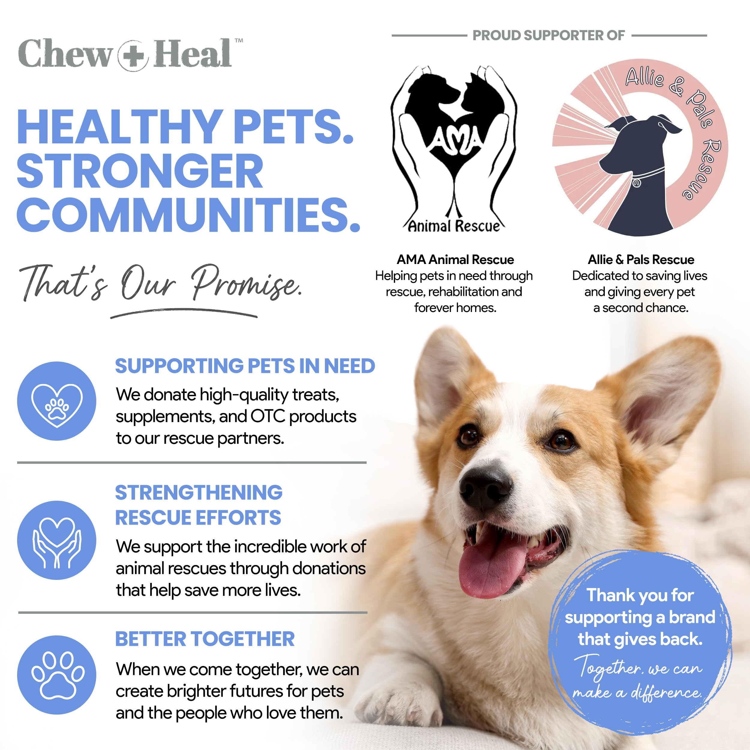Chew + Heal Labs spray appliqué sur la patte pour apaiser et nettoyer