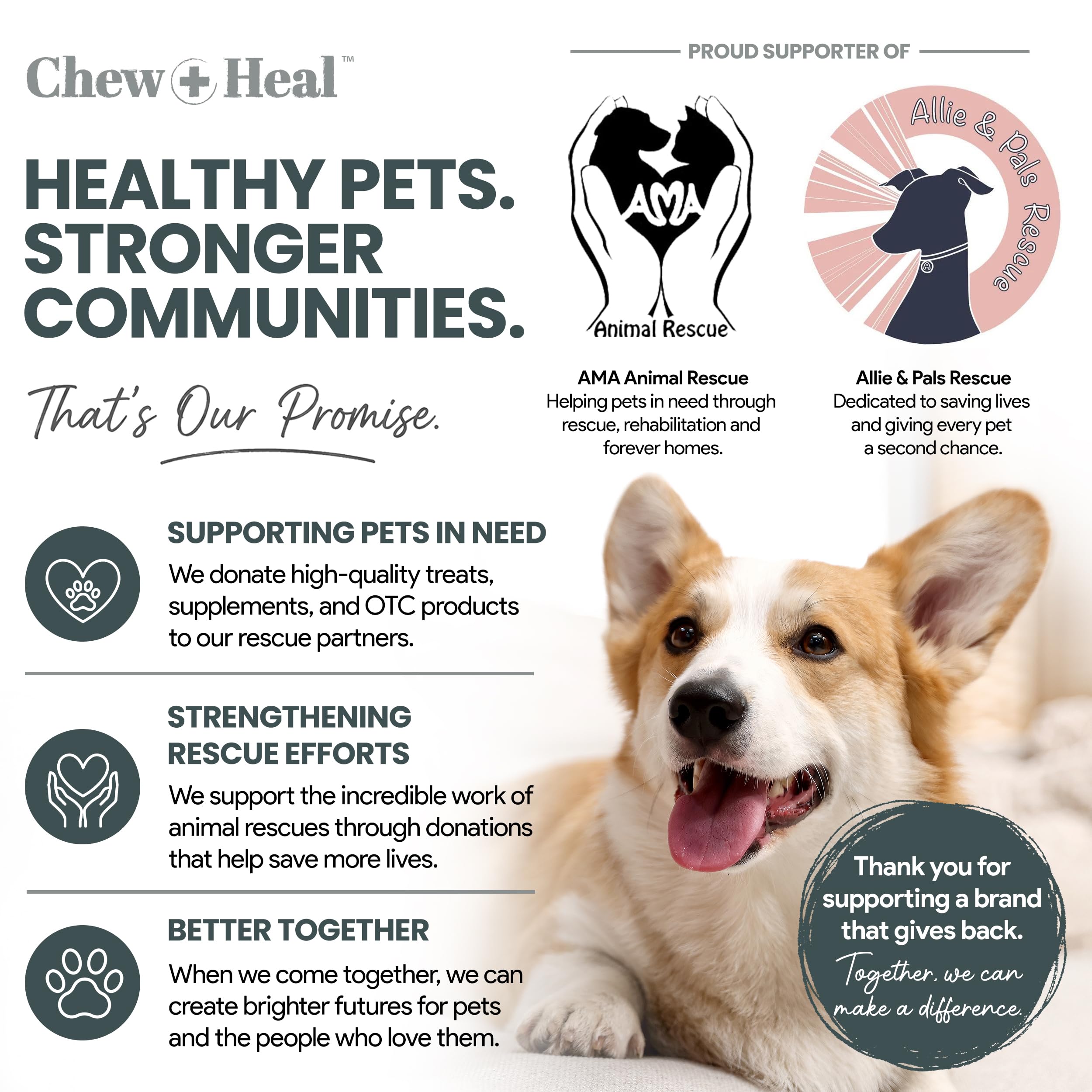 Chew + Heal Labs chien heureux consommant chew illustrant peau et pelage sains