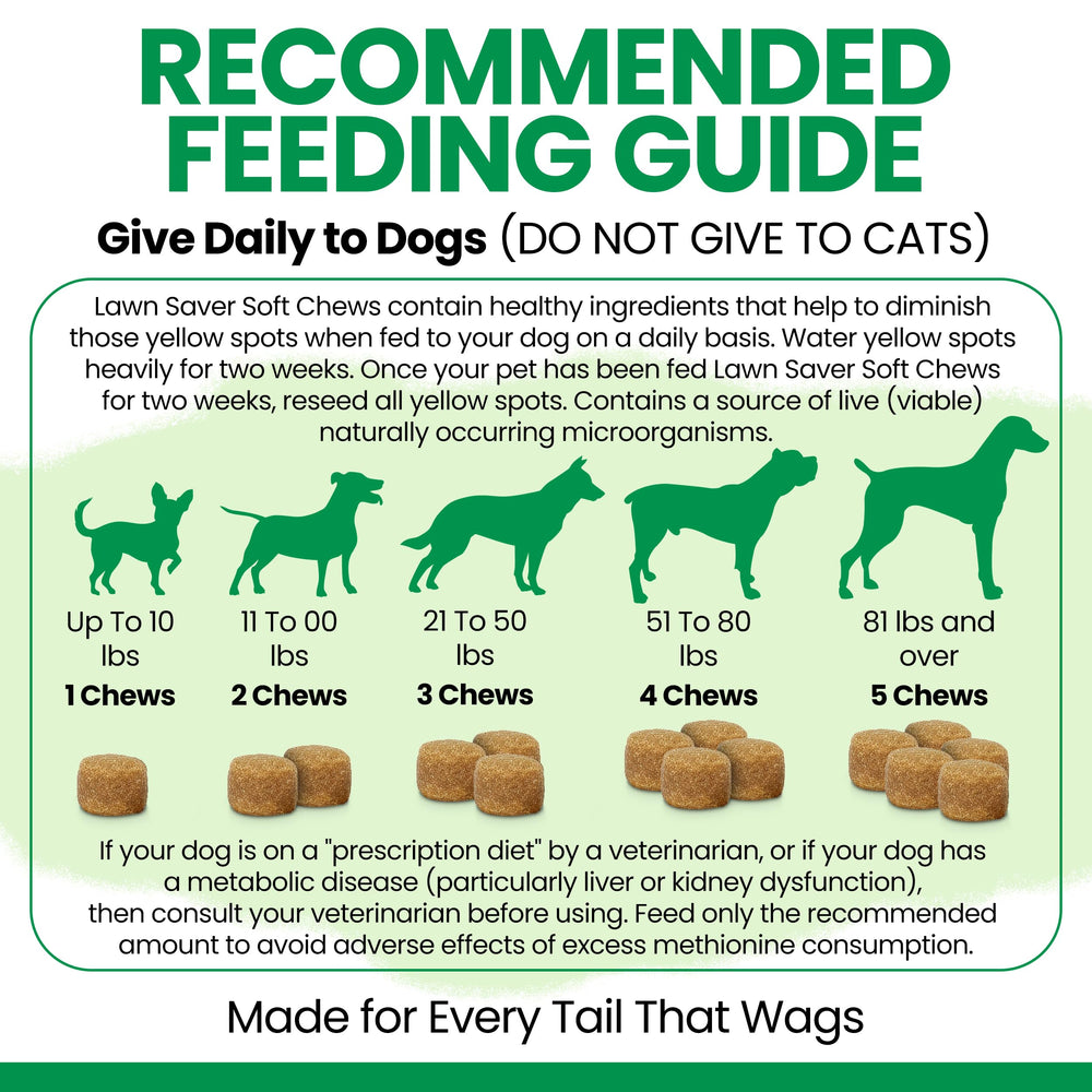 Chew + Heal Labs mâche à l'échelle, taille adaptée pour la consommation canine
