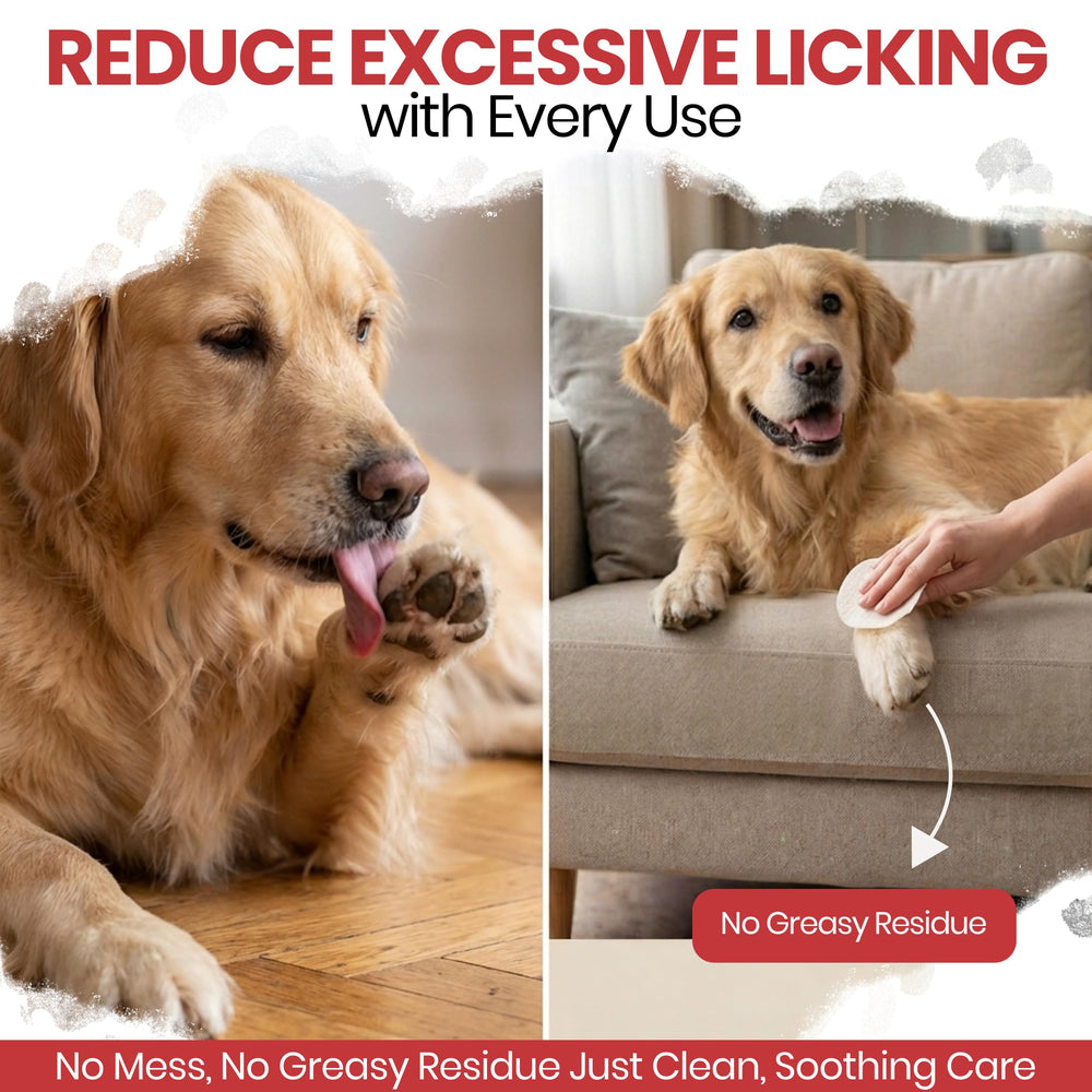 Chew + Heal Labs gros plan texture de la lingette et formule absorbante