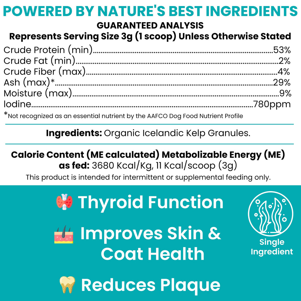 Chew + Heal Labs gros plan granules de kelp montrant texture et pureté