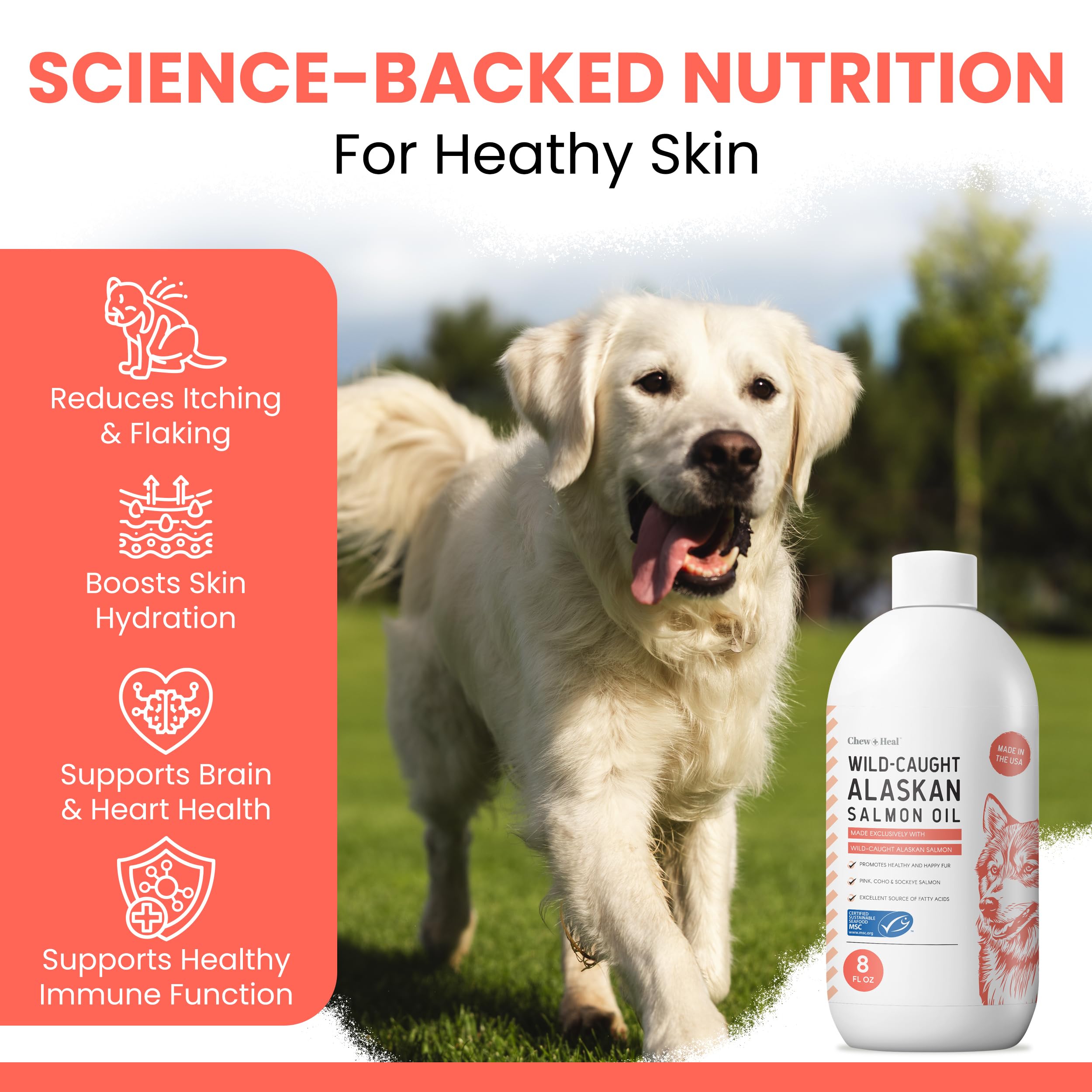Chew + Heal Labs goutte d’huile montrant texture pure et absorption alimentaire