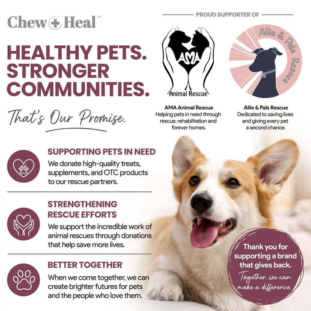 Chew + Heal Labs usage quotidien dans foyer montrant confort et routine