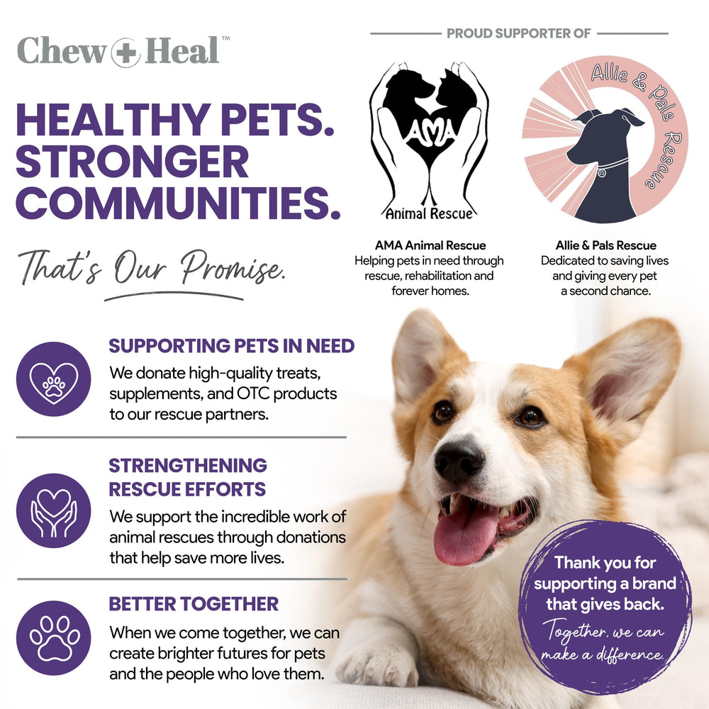 Chew + Heal Labs propriétaire appliquant la poudre sur chien, scène rassurante
