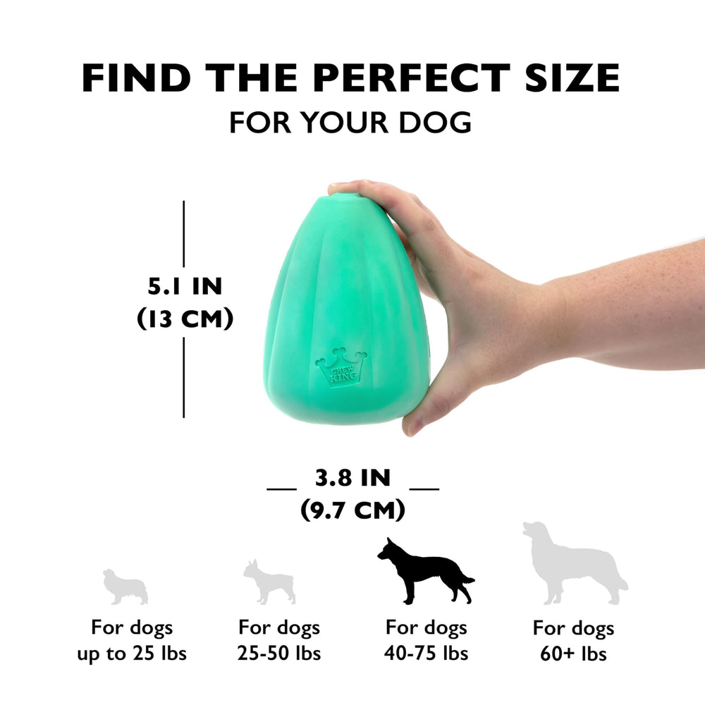 Chew King en usage chien mâchant pour stimulation mentale et activité