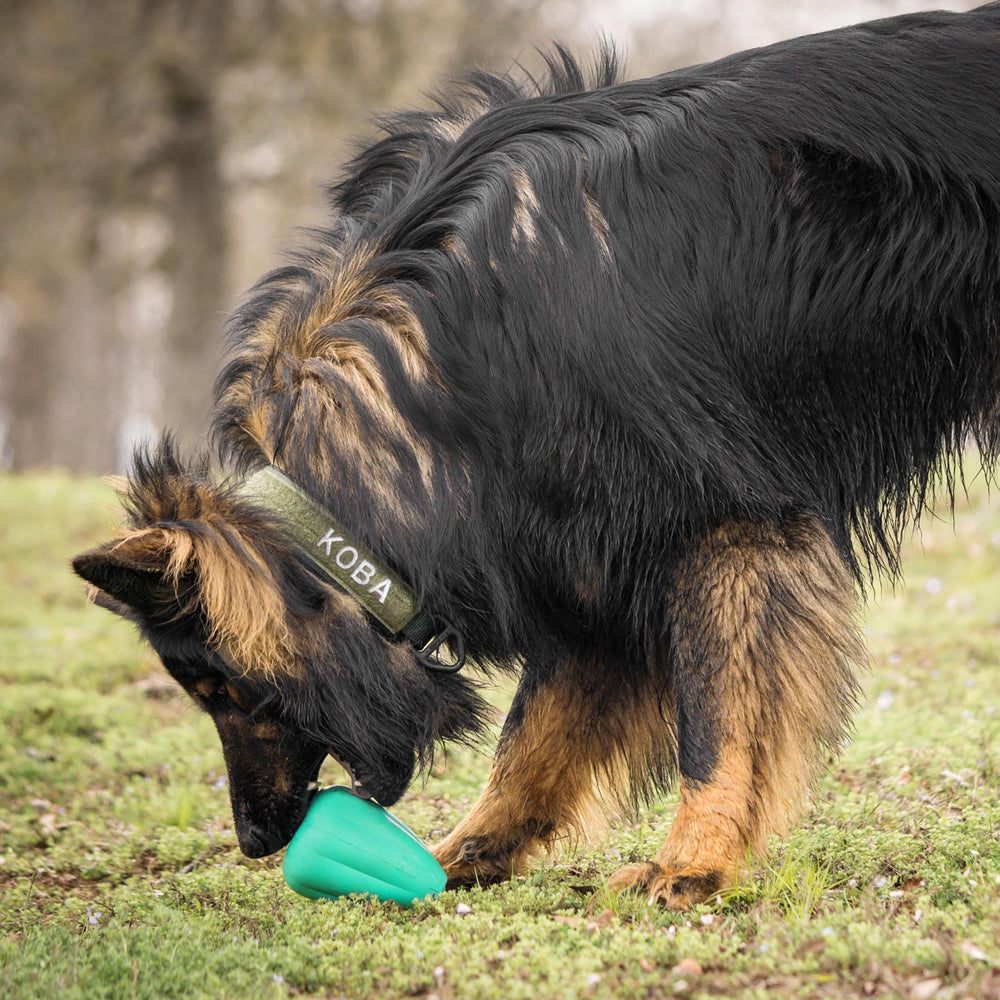 Chew King gros plan texture caoutchouc naturel pour résistance et sécurité