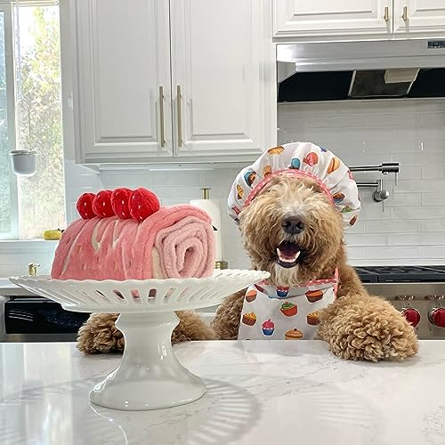 CHEWFFON comparaison taille à côté d'une patte pour adapter aux petits chiens