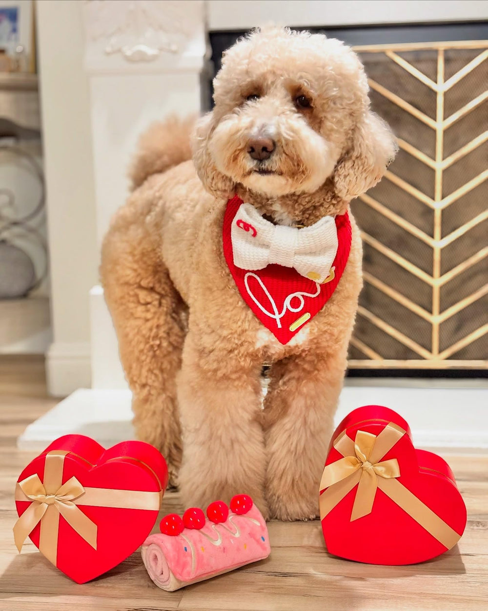 CHEWFFON étiquette lavage illustrant nettoyage facile et hygiène pratique