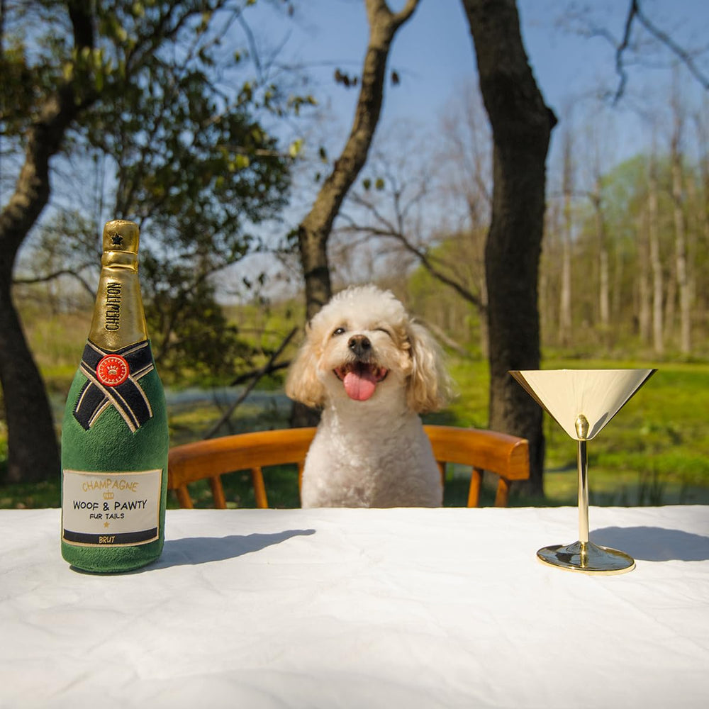CHEWFFON mise en scène fête pour chiens montrant cadeau festif et joie