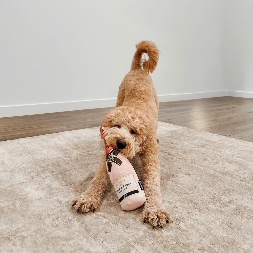 CHEWFFON jouet lors d’une fête canine apportant divertissement