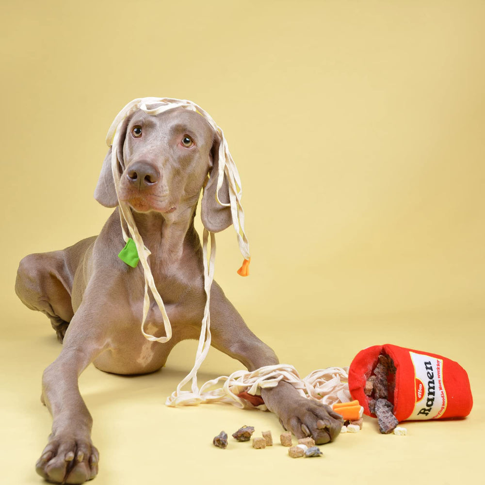 CHEWFFON comparaison taille avec main, montre adéquation petits chiens