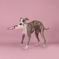 CHEWFFON chien en train de rapporter jouet pour exercice actif