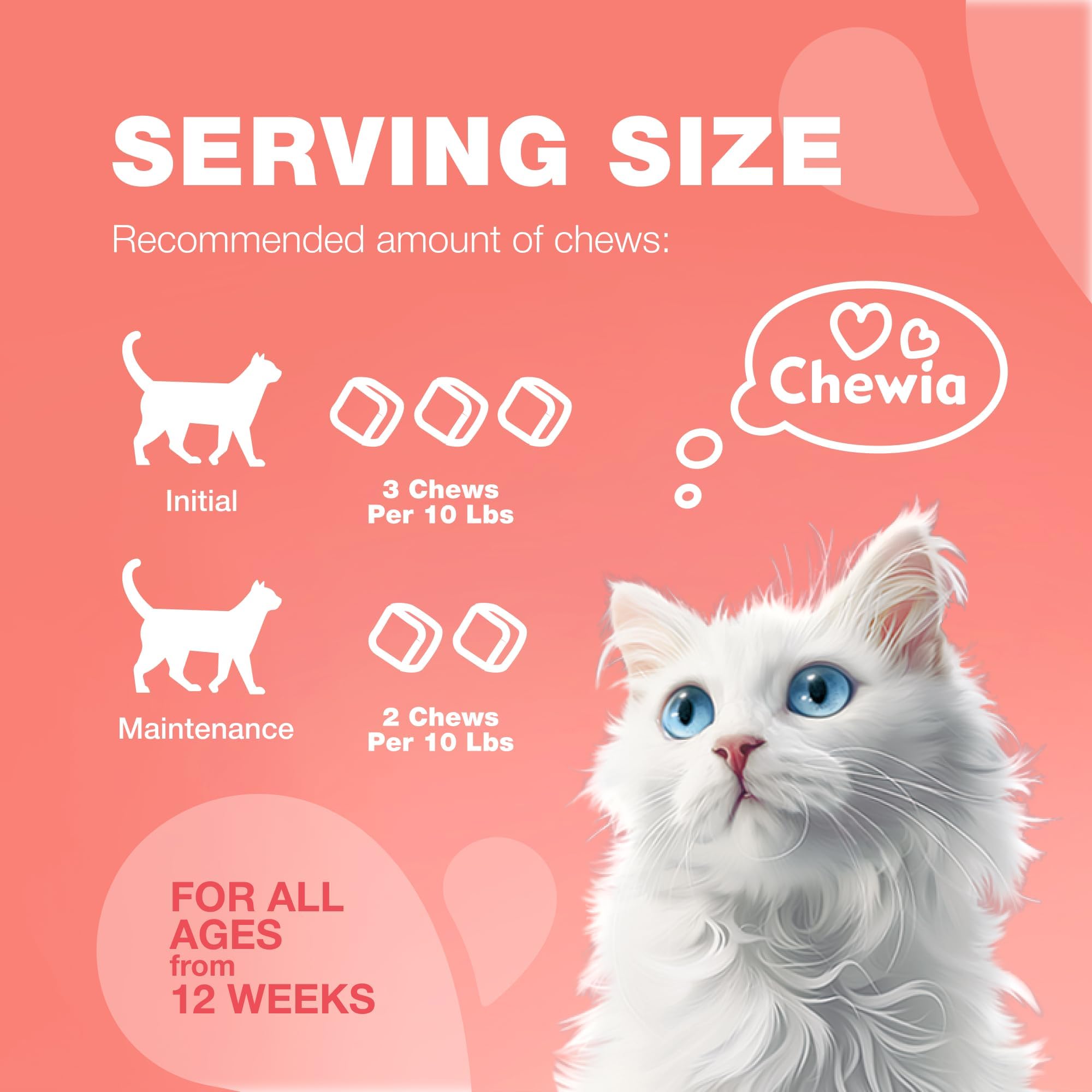 CHEWIA comparaison de taille des friandises avec une pièce pour échelle