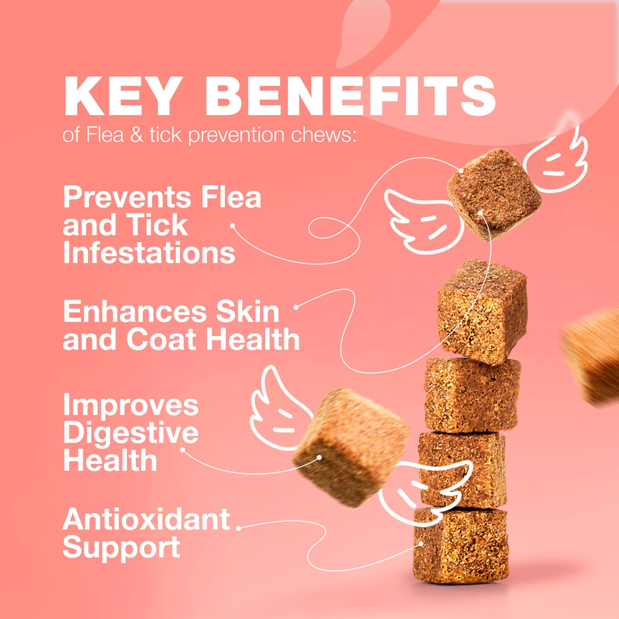 CHEWIA gros plan sur texture de la friandise montrant appétence et qualité