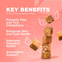 CHEWIA gros plan sur texture de la friandise montrant appétence et qualité