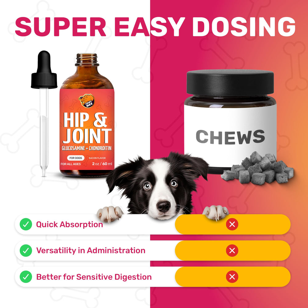 Chewy Max administration au chien montrant la praticité et réduction du stress pour l'animal