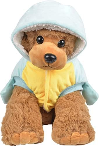 ChezAbbey chien portant costume tortue lors d’une promenade ludique