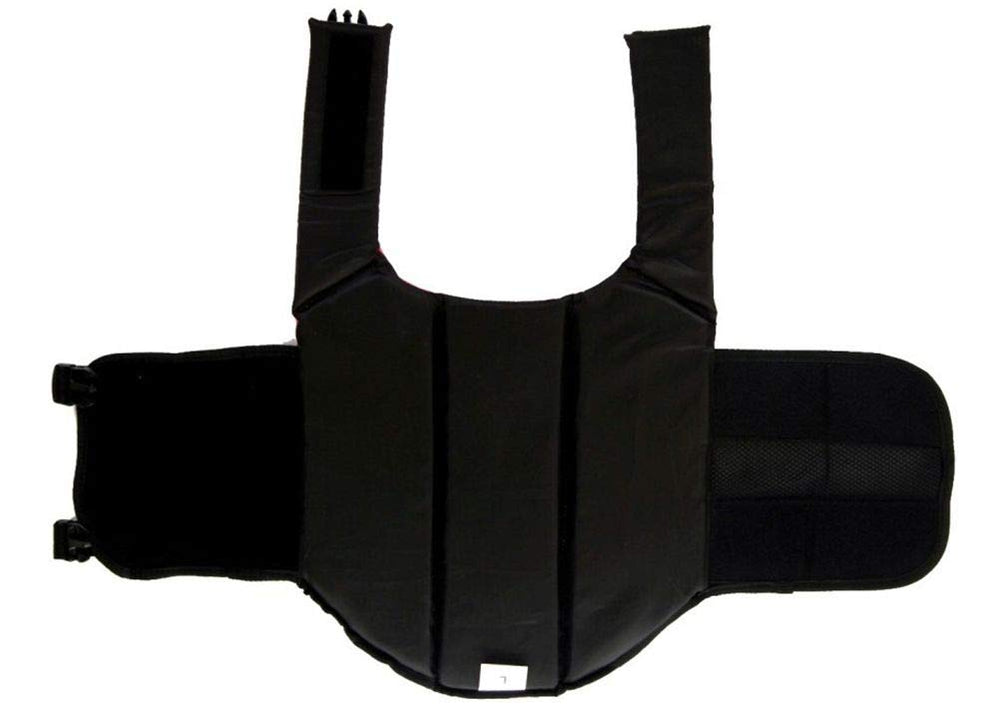 ChezAbbey poignée et boucle robustes pour relever l’animal rapidement