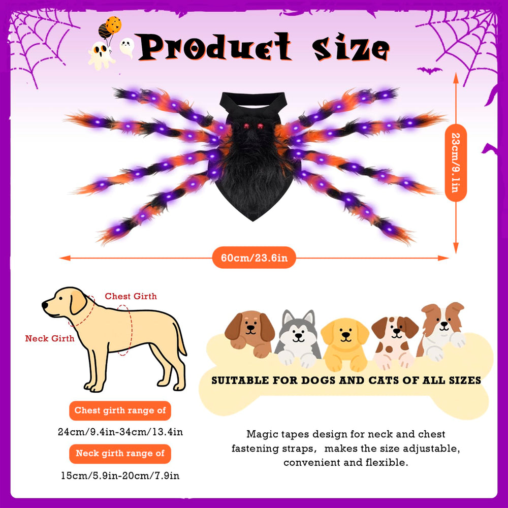 ChezMax chien portant costume araignée en extérieur, parfait pour soirées
