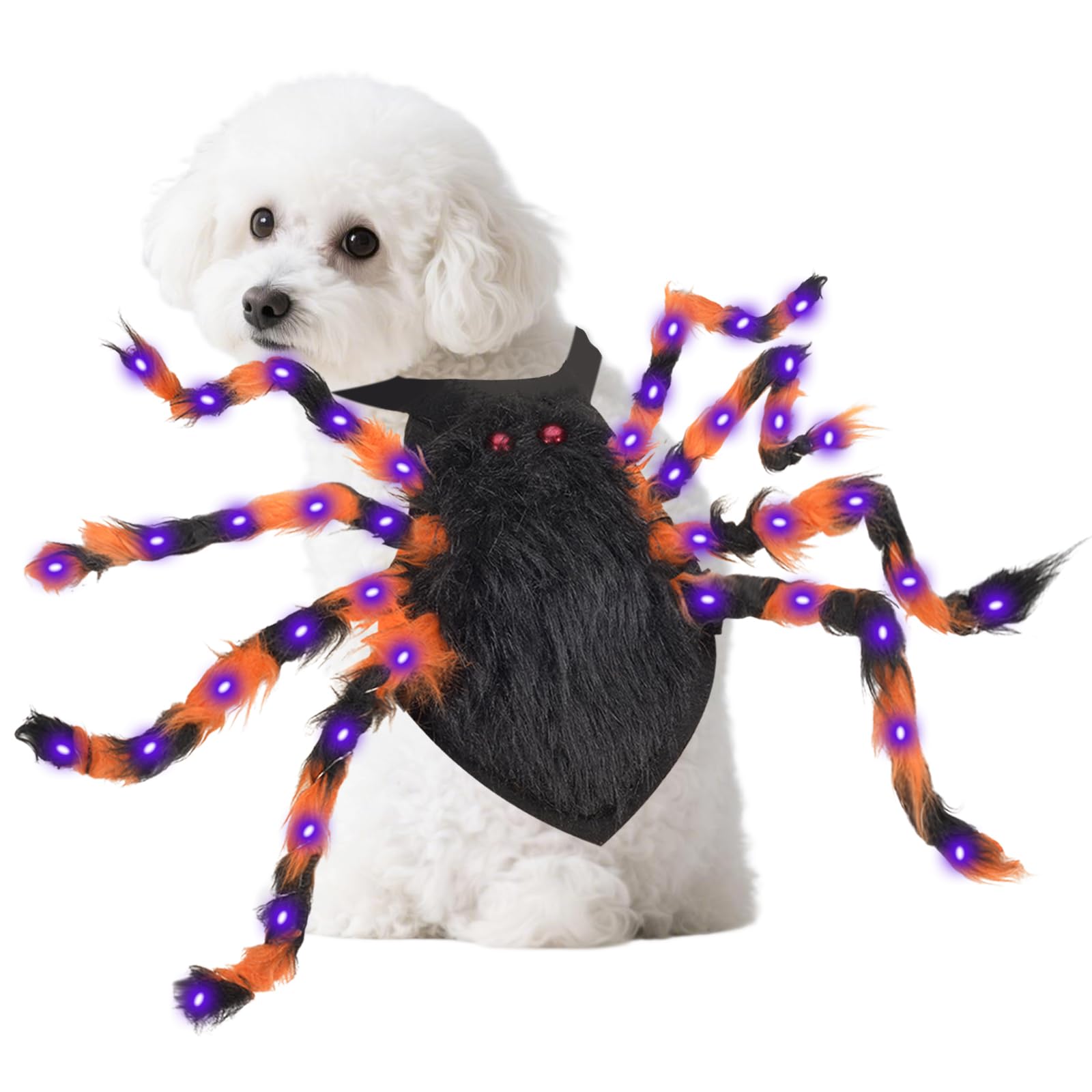 ChezMax costume araignée vue de face, rend votre animal visible et festif