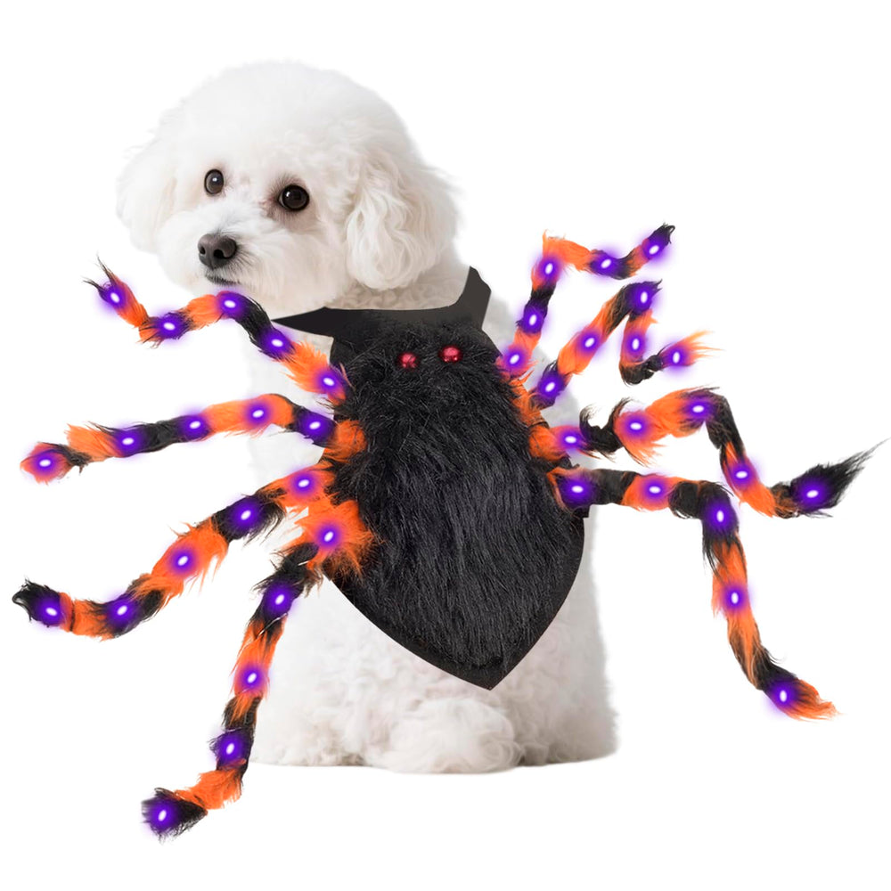 ChezMax costume araignée vue de face, rend votre animal visible et festif