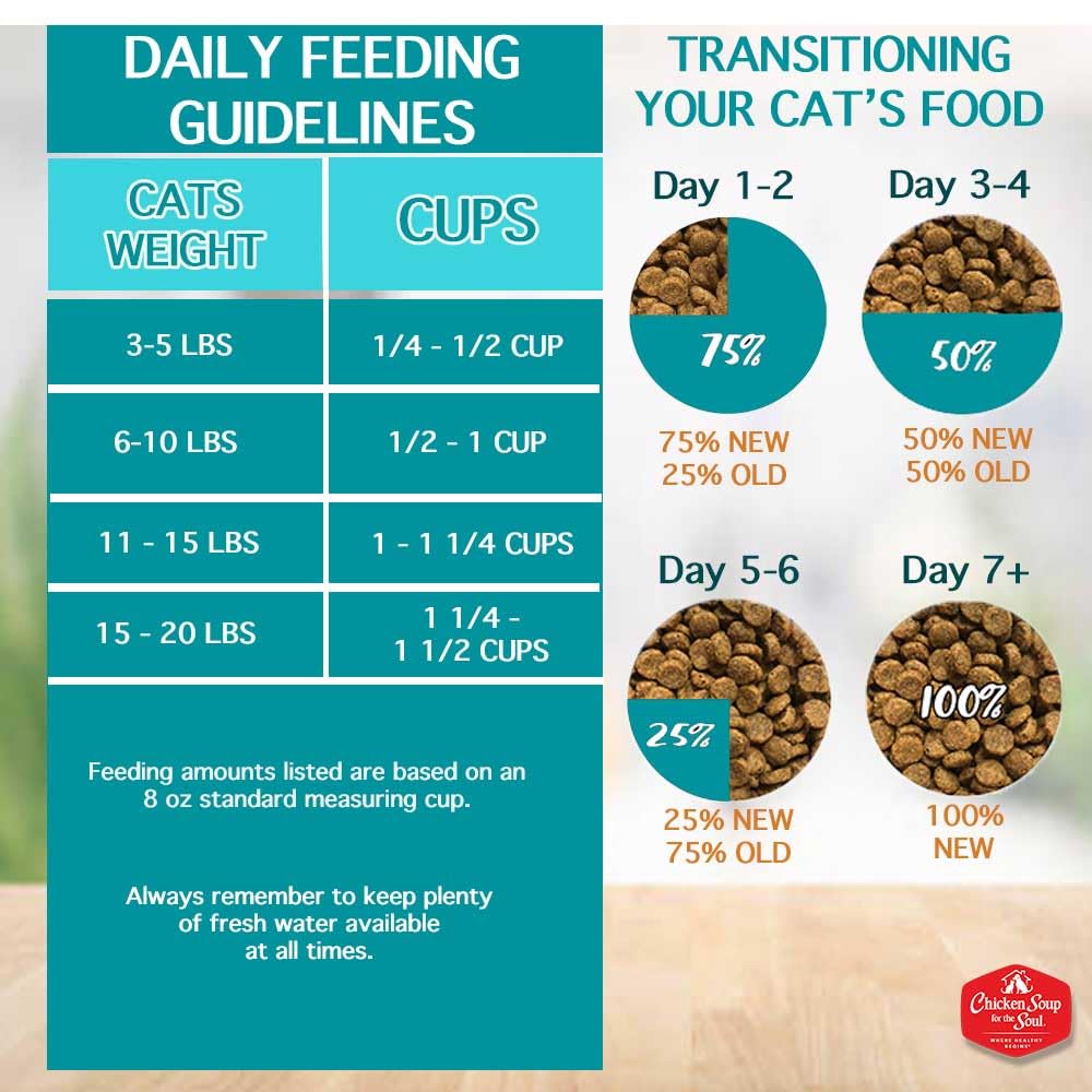 Chicken Soup for the Soul chat qui mange dans un bol, montre acceptation du produit