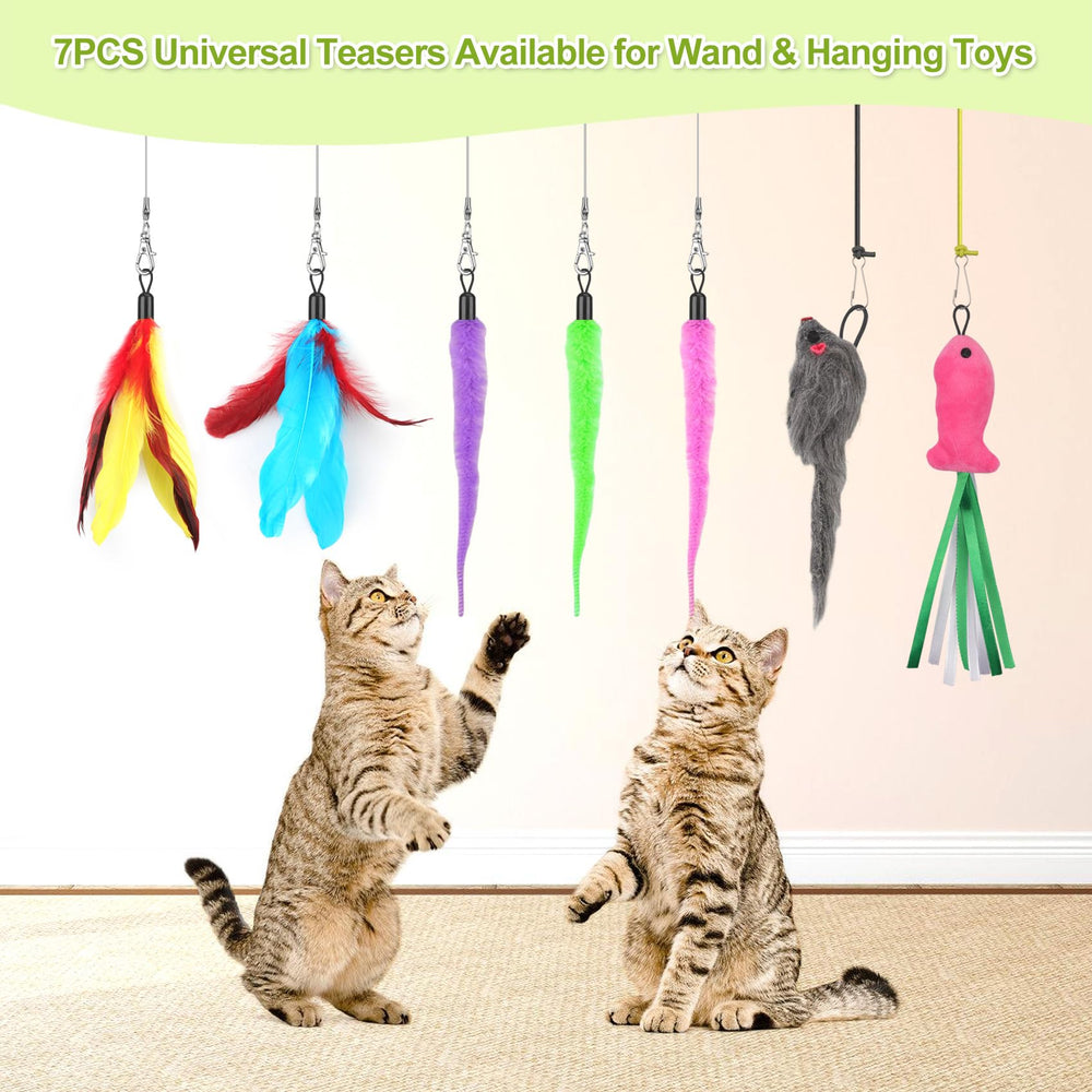 ChicWow jouet en action avec chat stimulant exercice naturel