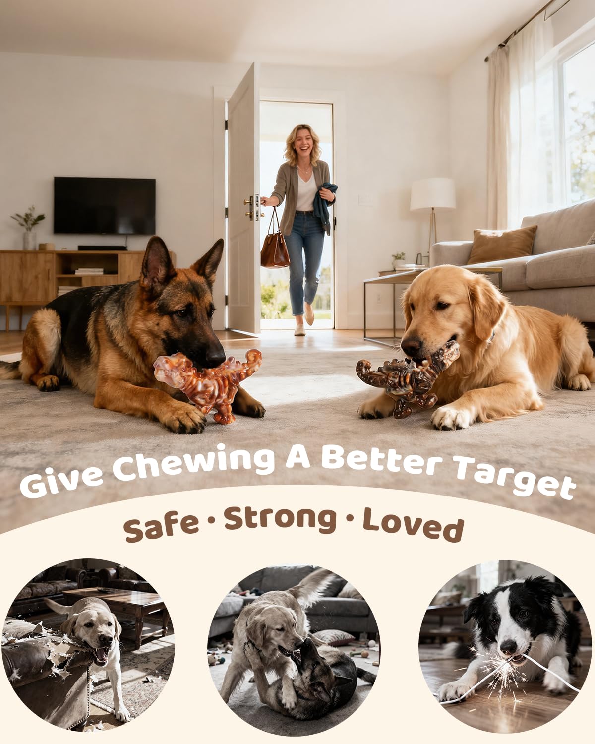 Comparaison taille ChienBox DinoBone illustrant l’échelle pour chien