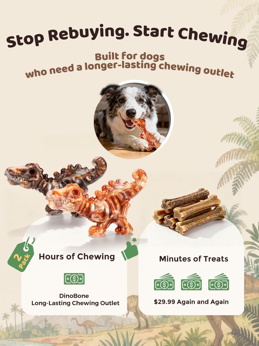 Lot de deux ChienBox DinoBone idéal pour rotation et multi‑chiens