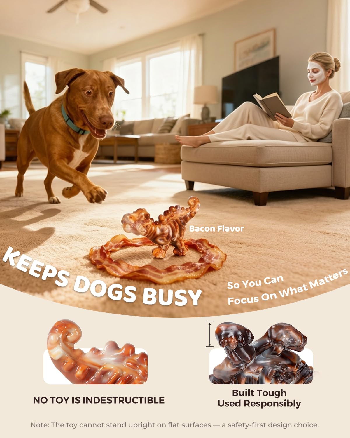 Détail bords ChienBox DinoBone montrant finition anti‑effilochement