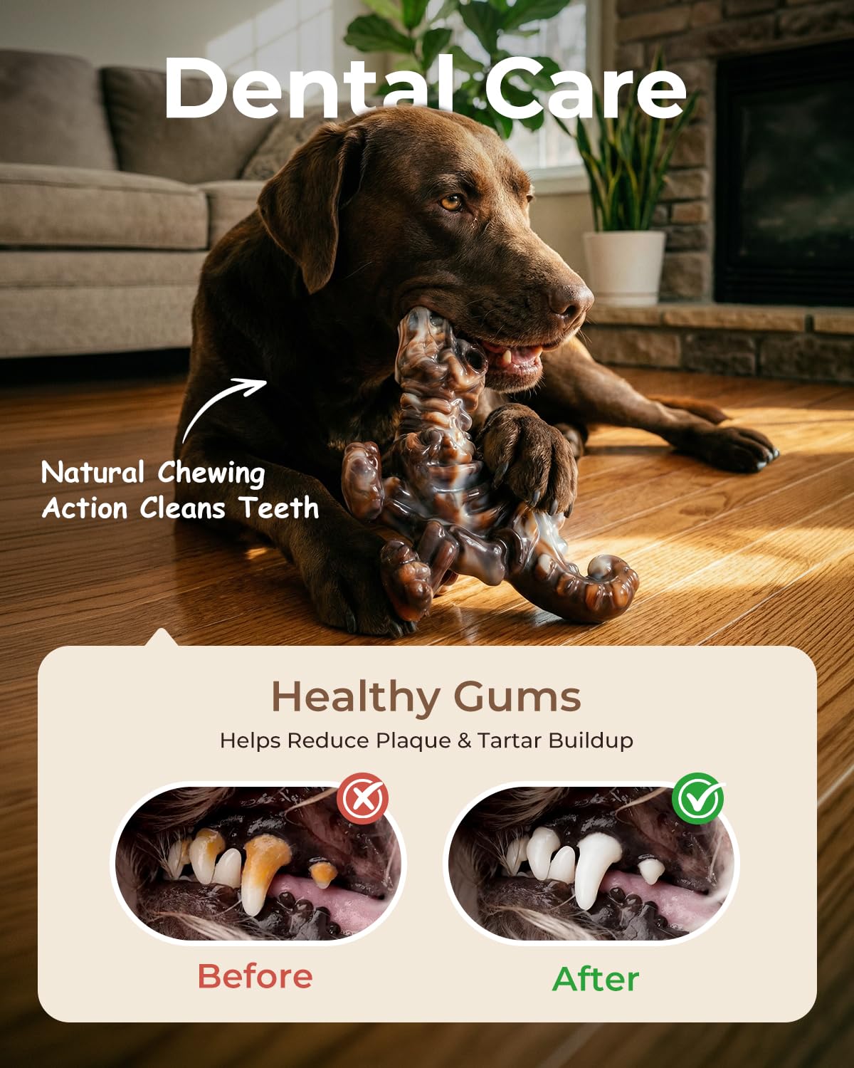 Test de durabilité ChienBox DinoBone démontrant résistance accrue