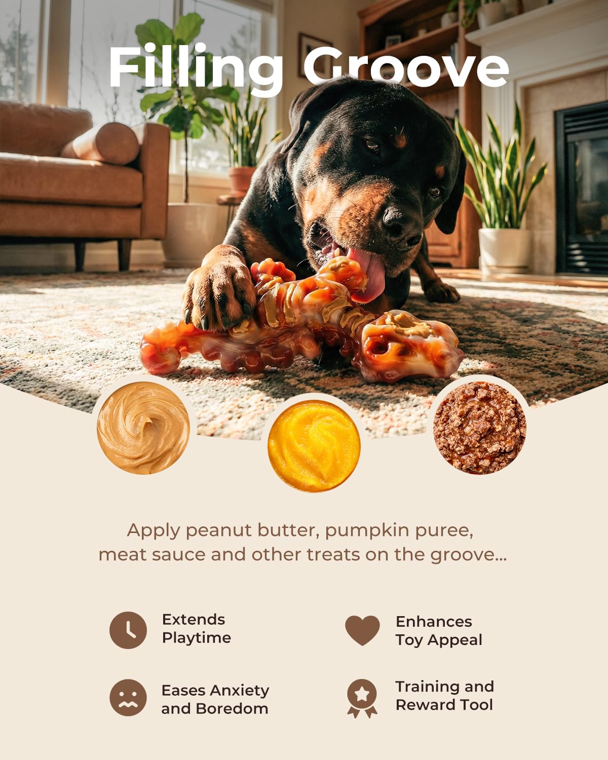 ChienBox DinoBone en usage chien mordant pour occupation sûre