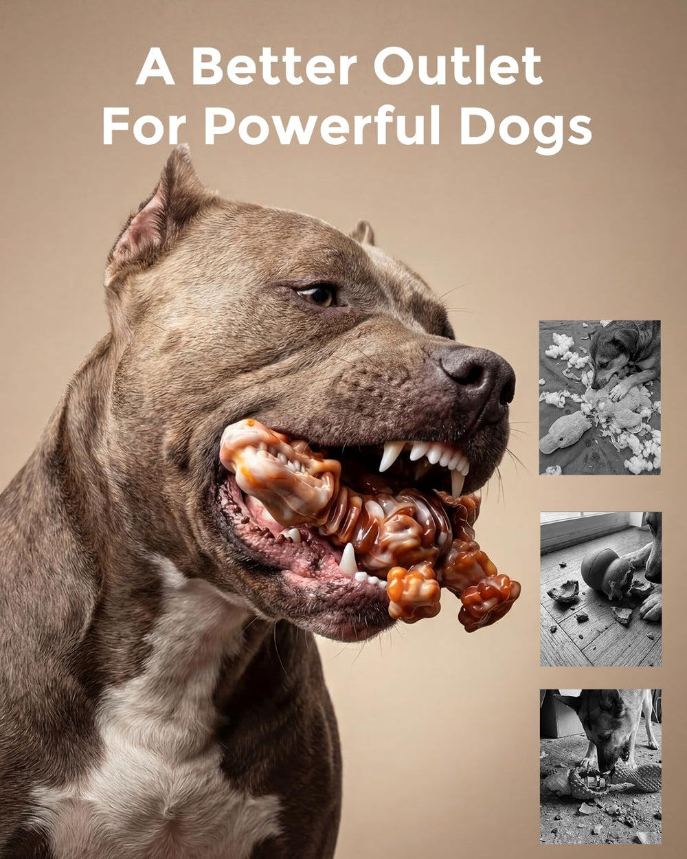 Fente pour beurre de cacahuète ChienBox DinoBone prolongeant l’intérêt