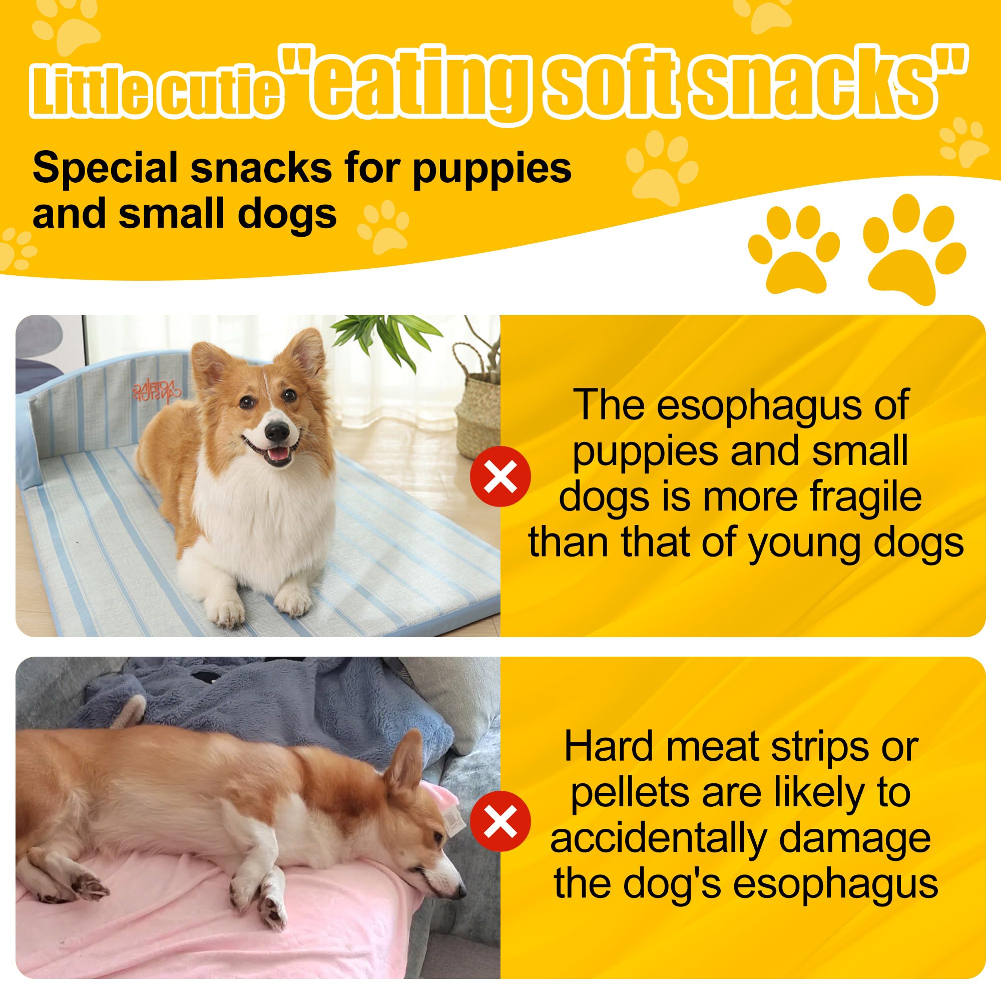 Chienmily comparaison taille avec main, bénéfice : portion adaptée pour chiens