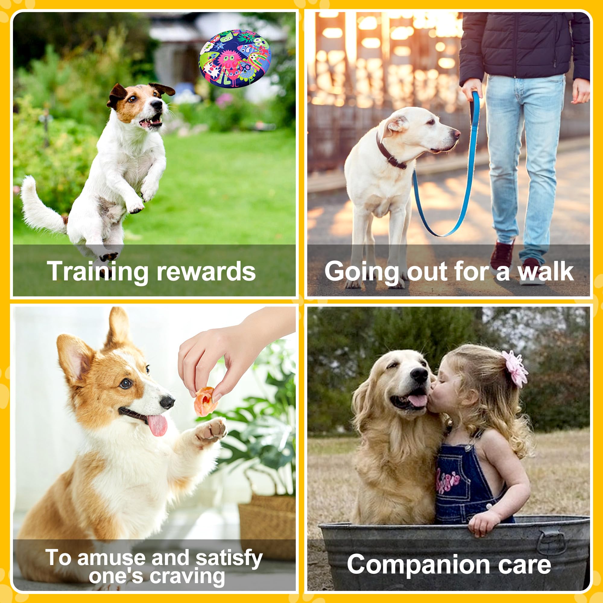 Chienmily étiquette produit lisible, bénéfice : informations claires pour le propriétaire