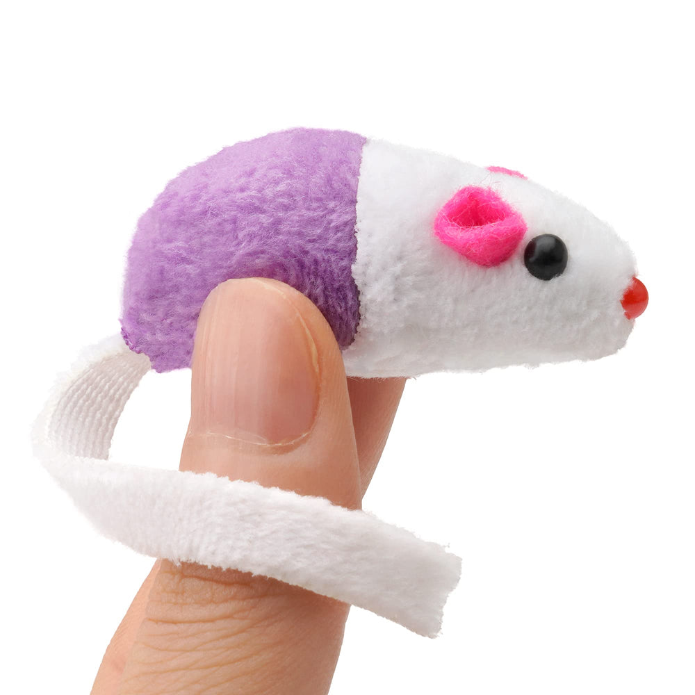 CHIWAVA présentation en boîte cadeau, idée pour offrir aux propriétaires de chats