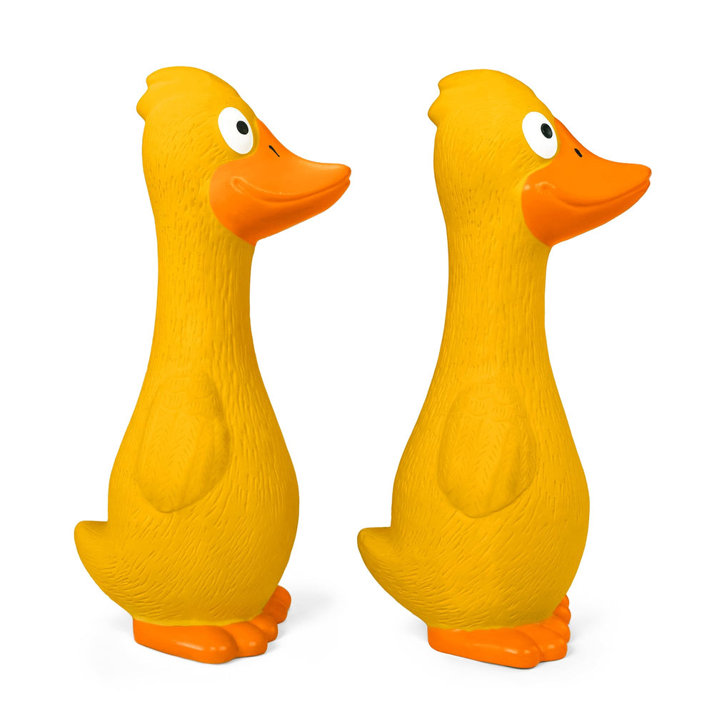 CHIWAVA canard lancé en extérieur pour un jeu de fetch énergisant
