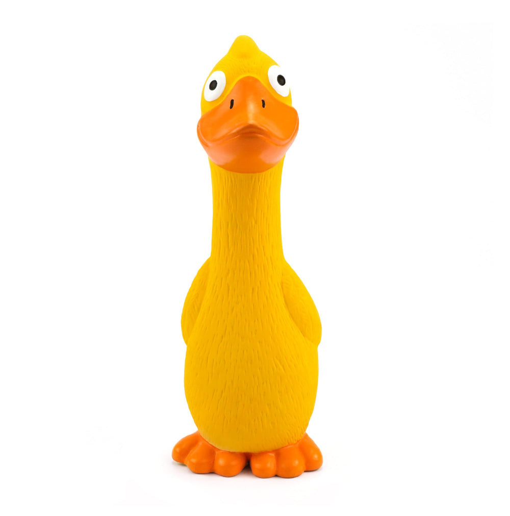 CHIWAVA canard à l'échelle comparé à une main pour visualiser la taille