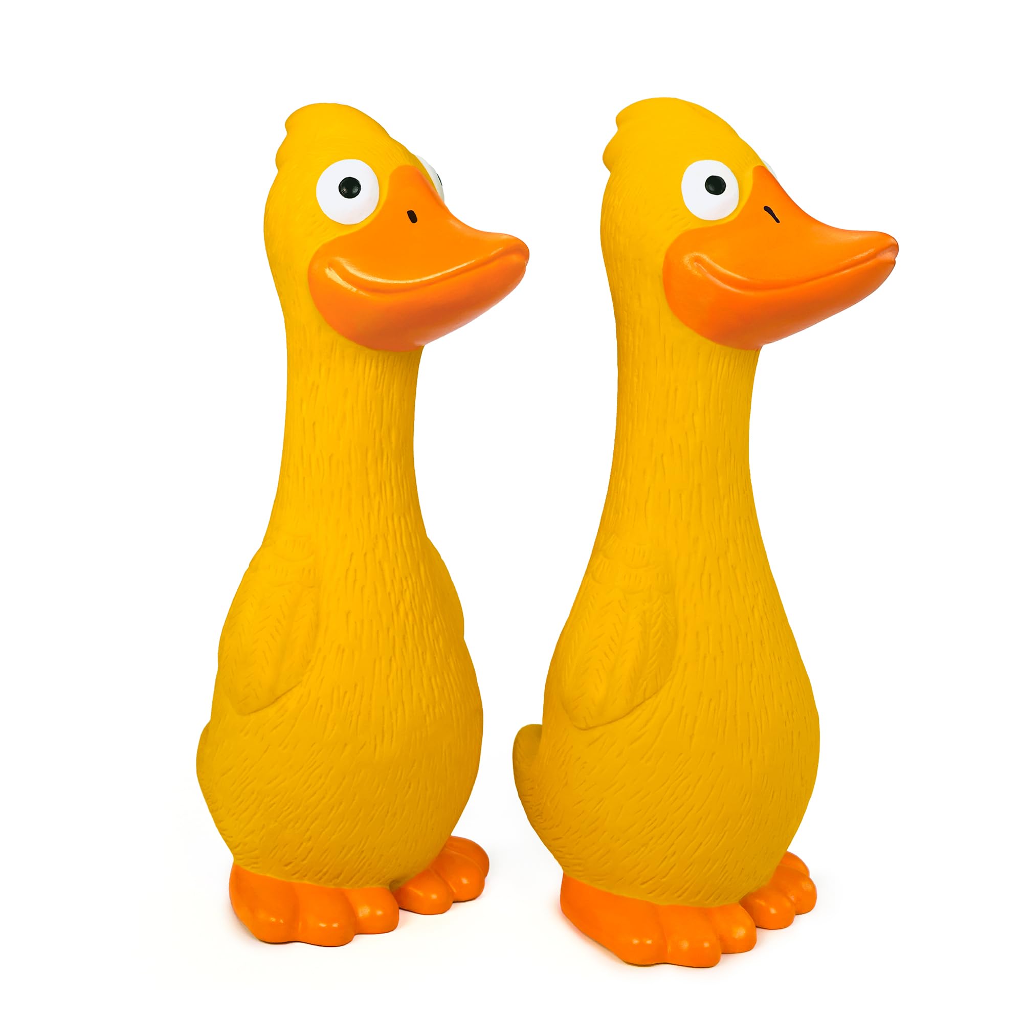 CHIWAVA canard utilisé sur tapis intérieur montrant jeu en intérieur sécurisé